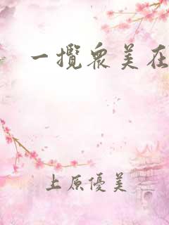 一揽众美在三国