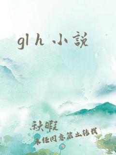 gl h 小说
