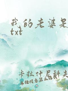 我的老婆是警察txt