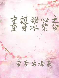 守护甜心之亚梦变身冰紫公主小说