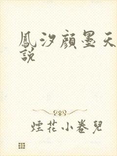 凤汐颜墨天问小说