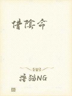借阴命