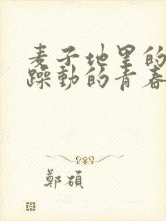 麦子地里的故事躁动的青春小说