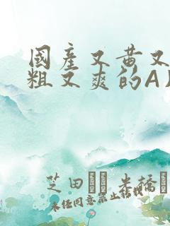 国产又黄又猛又粗又爽的A片小说