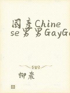 国产Chinese男男GayGayAPP