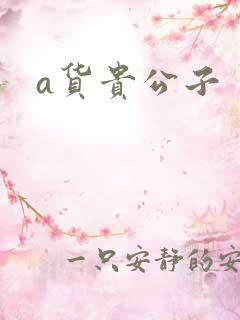 a货贵公子