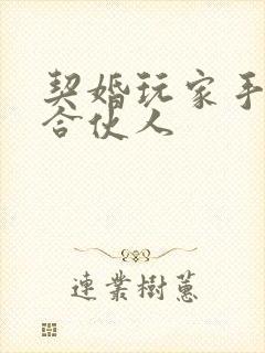 契婚玩家手册之合伙人