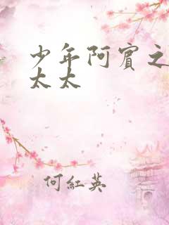 少年阿宾之房东太太