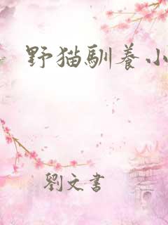 野猫驯养小说