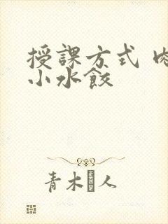 授课方式 肉馅小水饺