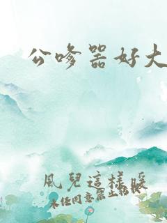 公嗲器好大好H