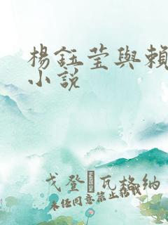 杨钰莹与赖昌星小说