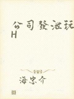 公司发泄玩具lH