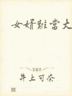 女婿难当大结局