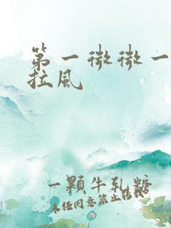 第一微微一笑很拉风