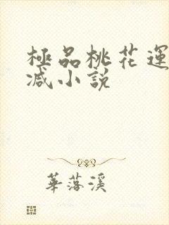 极品桃花运未删减小说