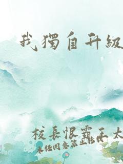 我独自升级小说