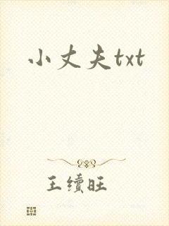 小丈夫txt