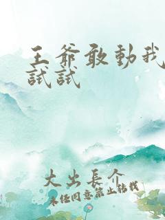 王爷敢动我妈咪试试