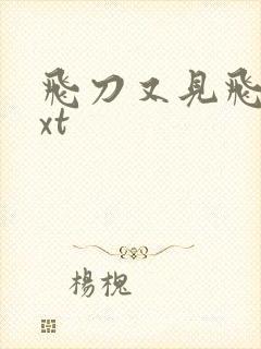 飞刀又见飞刀txt