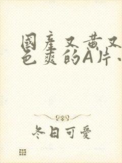 国产又黄又大又色爽的A片小说