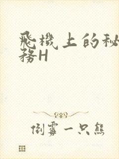 飞机上的秘密服务H