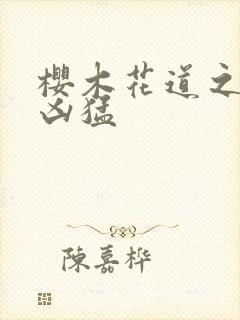 樱木花道之重生凶猛