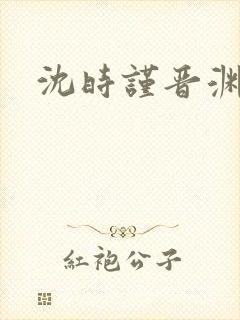 沈时谨晋渊小说