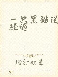 一只黑猫从眼前经过