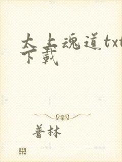 太上魂道txt下载