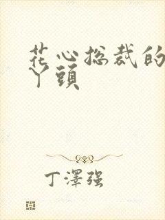 花心总裁的小小丫头