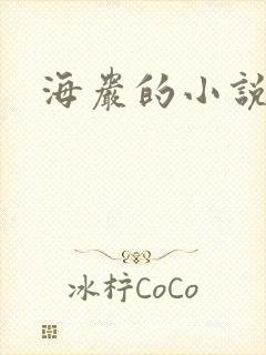 海岩的小说
