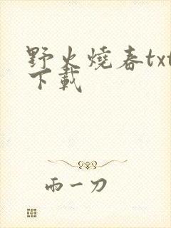 野火烧春txt下载