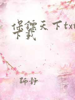 保镖天下txt下载