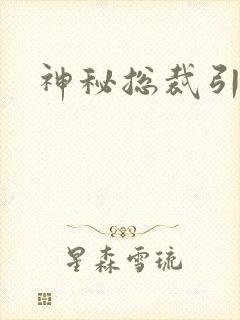 神秘总裁引入怀