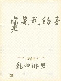 你是我的手冢国光