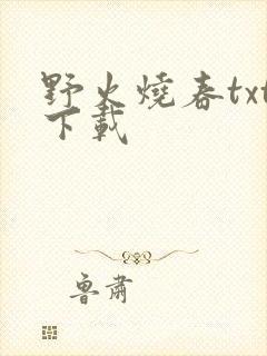 野火烧春txt下载