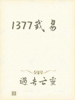 1377武易