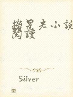 捞星光小说免费阅读