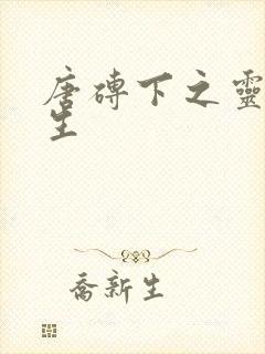 唐砖下之灵域双生