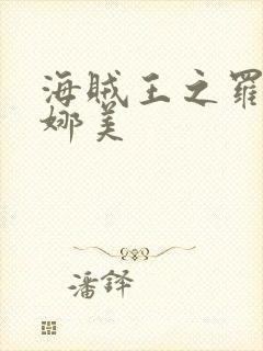 海贼王之罗宾h娜美