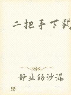 二把手下载