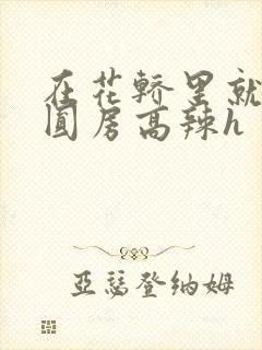 在花轿里就开始圆房高辣h