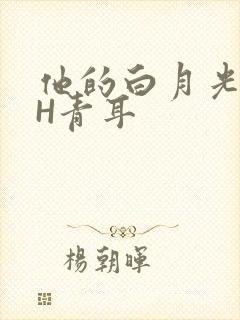 他的白月光HVH青耳