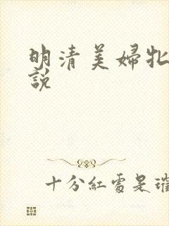 明清美妇牝户小说