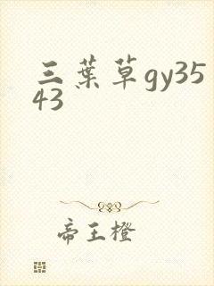 三叶草gy3543