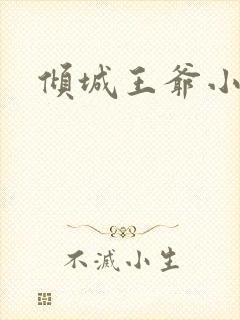 倾城王爷小小妃