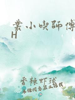 丛小吃师傅的HH
