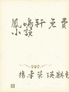 凤鸣轩免费言情小说