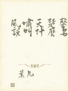 风啸天楚馨月小说叫什么名字